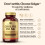 Solgar Solgar Choline 350mg | Healthy Liver Function | Supports Fat Metabolism | 6
