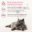 Beaphar Beaphar - CatComfort Excellence – Pheromone Calming Diffuser for Cats - Plug-In 3