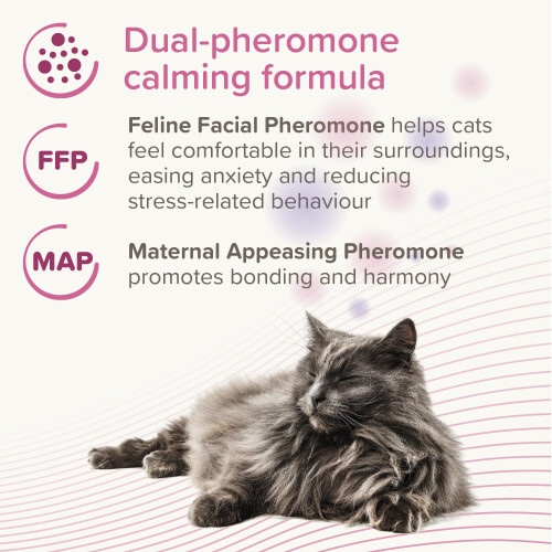 Beaphar Beaphar - CatComfort Excellence – Pheromone Calming Diffuser for Cats - Plug-In 2