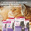 Beaphar Beaphar - CatComfort Excellence 30 Day Refill – Pheromone Calming for Cats - Re 8