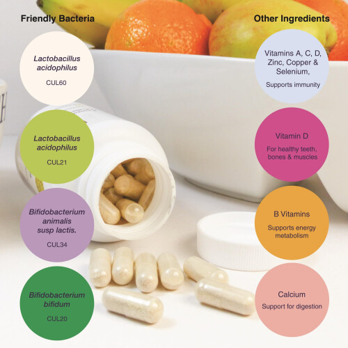 Pro|Ven Biotics for Adults | Gut Health & Immune System Support | 1