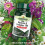 Natures Aid Natures Aid Vitamin B Complex 100 – High Potency B Vitamins 100mg 5
