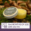 Absolei Hemorrhoids Ointment, Natural Witch Hazel Ointment for 6