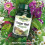 Natures Aid Natures Aid Ginger Root 500mg - Supports Digestion, Sickness, Nausea, 6