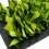 Rosewood Rosewood Snuffle Forage Mat for Small Animals 6