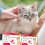 Beaphar Beaphar - Flea Tablets for Cats & Kittens - 6 Treatment Pack - Rapid Knock Down 7