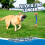 Chuckit! Chuckit! Ultra Duo Tug Dog Toy, 6 cm, Medium 6