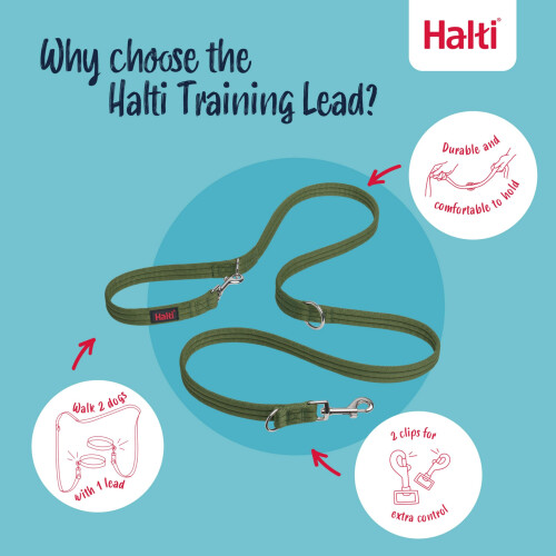 Halti Halti Training Lead, Double-Ended, Large, 2m 2