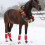 (Solid Color) Bandelettes Chevaux Noël : Anti-Morsures 2