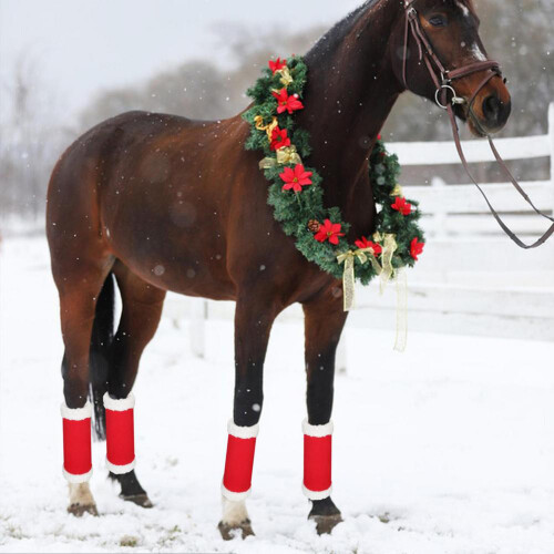 (Solid Color) Bandelettes Chevaux Noël : Anti-Morsures 1