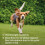 Beaphar Beaphar Flea Tablets for Small Dogs (1-11kg) - 3 pack, Kills Fleas 6