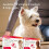 Beaphar Beaphar Flea Tablets for Small Dogs (1-11kg) - 3 pack, Kills Fleas 8