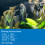 API Prevent Algae Aquarium Algae Control Solution, 237 ml Bottle 2