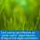 API Prevent Algae Aquarium Algae Control Solution, 237 ml Bottle 4