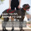 Canny No-Pull Dog Training Headcollar To Stop Pulling On Lead Black Size 5 6