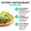 Broccoli Sprout Extract by LLS | Contains Activated Sulforaphane | 60 Capsules | 5