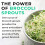 Broccoli Sprout Extract by LLS | Contains Activated Sulforaphane | 60 Capsules | 6