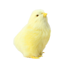(Small Straight Head Chicken) Realistic Chicken Stuffed Toy - Christmas Birthday Gift