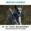 Embark Urban Dog Harness, No-Pull, 2 Clips, Medium Dogs 2