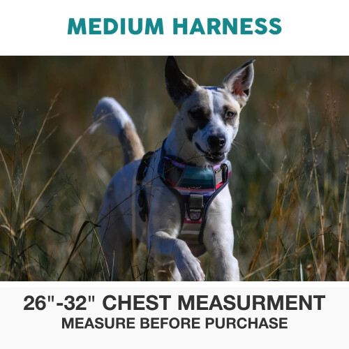 Embark Urban Dog Harness, No-Pull, 2 Clips, Medium Dogs 1