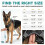 Embark Urban Dog Harness, No-Pull, 2 Clips, Medium Dogs 3