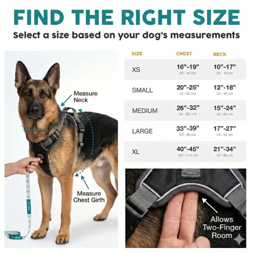 Embark Urban Dog Harness, No-Pull, 2 Clips, Medium Dogs 2