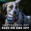 Embark Urban Dog Harness, No-Pull, 2 Clips, Medium Dogs 5