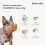 Baskerville Basket Muzzle - Dog Pant/Drink, Prevents Biting, Size 9 6