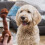 Smartbones 8 Mini Beef Bones Rawhide Free Chew Dog Treats 8