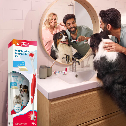 Beaphar Beaphar Toothbrush & Toothpaste Kit: Plaque & Tartar Control 2