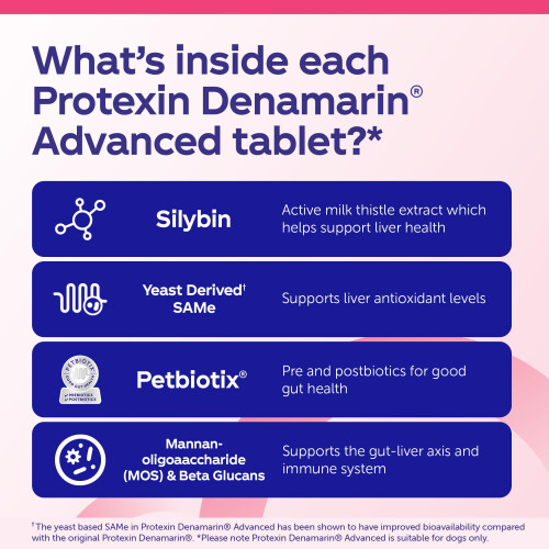 Protexin Denamarin Advanced for Dogs under 10kg 30 Tablets 1