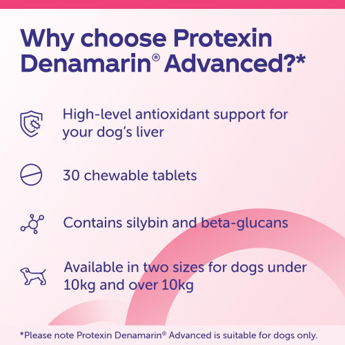 Protexin Denamarin Advanced for Dogs under 10kg 30 Tablets 2