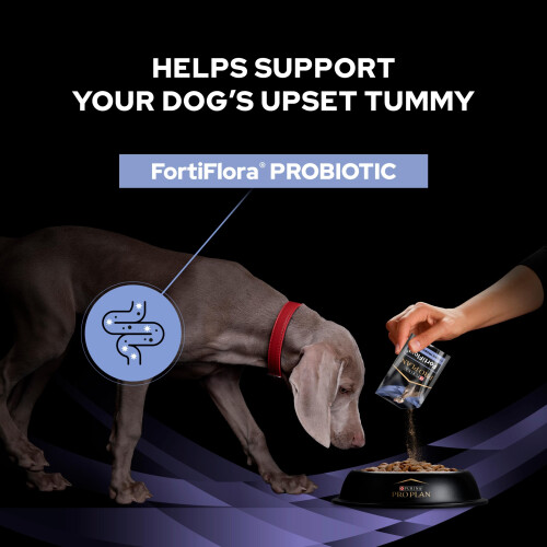 PRO PLAN Fortiflora Probiotic Dog Supplements 30x1g 2