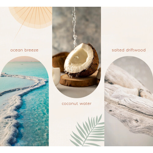 Fragrance Reed Diffuser - Blissful Oasis - 70ml 2