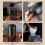 2X Portable Electric Coffee Grinder - USB-C Rechargeable, Ceramic Grinding Core, Efficient Coffee Bean Milling Tool 7