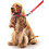 Beaphar Beaphar - Gentle Leader Head Collar for Medium Dogs - Training Aid - Stops Pulling On The Lead – Immediate Effect - Adjustable Comfortable F 4