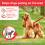 Beaphar Beaphar - Gentle Leader Head Collar for Medium Dogs - Training Aid - Stops Pulling On The Lead – Immediate Effect - Adjustable Comfortable F 5