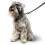Beaphar Beaphar - Gentle Leader Head Collar for Small Dogs - Training Aid - Stops Pulling On The Lead – Immediate Effect - Adjustable Comfortable Fit – An 4