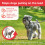 Beaphar Beaphar - Gentle Leader Head Collar for Small Dogs - Training Aid - Stops Pulling On The Lead – Immediate Effect - Adjustable Comfortable Fit – An 5