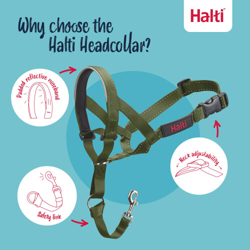 Halti Halti Headcollar - Anti-Pull Collar, Medium (Size 3, Forest Green) 2