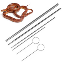 6er Edelstahl-Schlangensonde-Set für Reptilien – Antiallergisch & Präzises Geschlechtsbestimmen