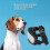 Dog Sunglasses Windproof UV Guard Black Frame Silver Lens Adjustable Strap 3