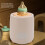Automatic Bottle Shaker 4 Speed 5 Timer Night 20