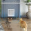 Microchip Smart Pet Door, 30x26.3x8.9cm, 210mAh Remote Control White 3