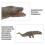 Wild Life Crocodilian Figure for Kids 1