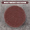 50 PCS 2 inch /50 mm 80 Grit Roll Lock Sanding Disc Abrasive Pads 5