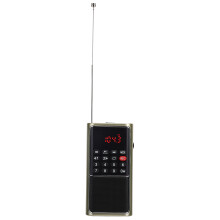 L‑338 Portable FM Radio with USB, MicroSD, 3W Speaker, Golden