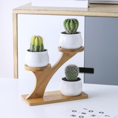 Bamboo Plant Stand - 3-Tier Desktop Shelf 1