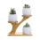 Bamboo Plant Stand - 3-Tier Desktop Shelf 9