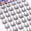 (Glue free model) Fluffy Glueless False Eyelashes, All-Day Curl 6
